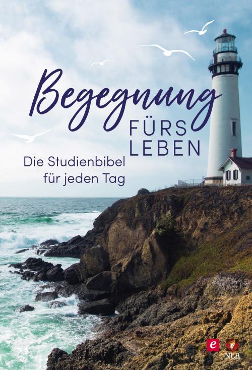 Cover of the book Begegnung fürs Leben, Motiv "Leuchtturm" by , SCM R.Brockhaus