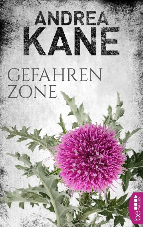 Cover of the book Gefahrenzone by Andrea Kane, beTHRILLED by Bastei Entertainment