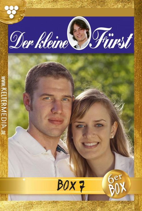 Cover of the book Der kleine Fürst Jubiläumsbox 7 – Adelsroman by Viola Maybach, Kelter Media