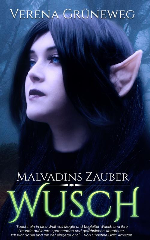 Cover of the book Malvadins Zauber by Verena Grüneweg, Books on Demand