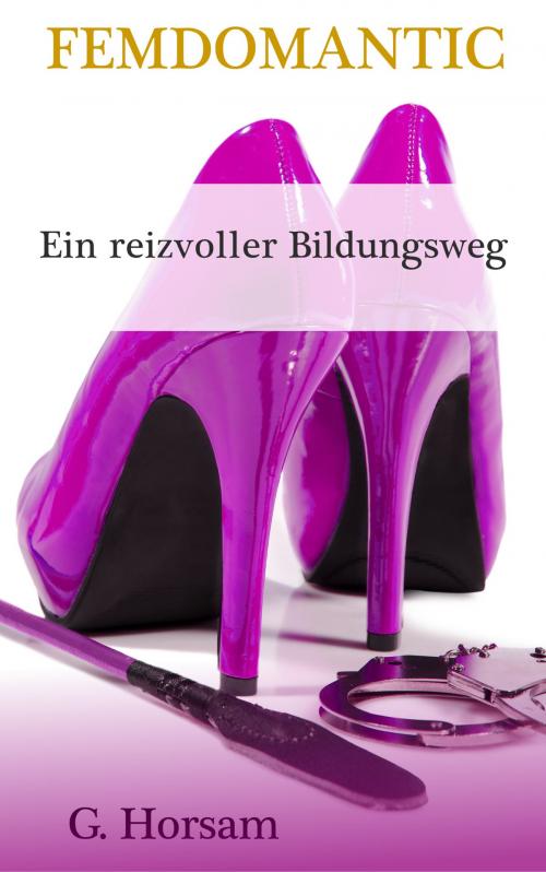 Cover of the book Ein reizvoller Bildungsweg by G. Horsam, Ralf Degen