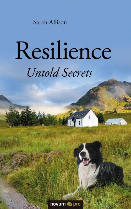 Cover of the book Resilience - Untold Secrets by Sarah Allison, novum pro Verlag