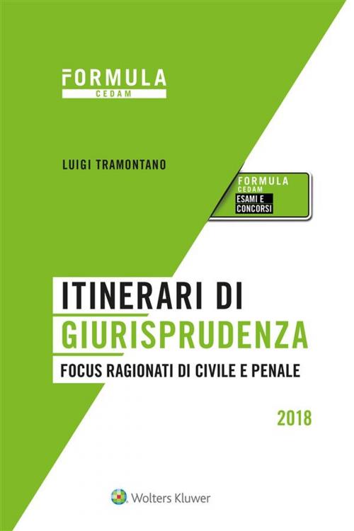 Cover of the book Itinerari di giurisprudenza - Focus ragionati di civile e penale by LUIGI TRAMONTANO, Cedam