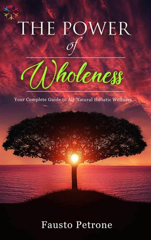 Cover of the book The Power of Wholeness by Fausto Petrone, La Matrix Divina Media