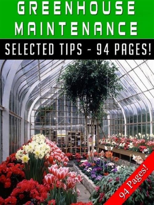 Cover of the book Greenhouse Maintenance by Jeannine Hill, Jeannine
