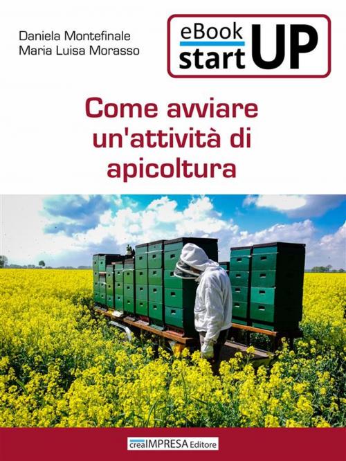 Cover of the book Come avviare un'attività di Apicoltura by Maria Luisa Morasso, Daniela Montefinale, Incubatore Creaimpresa