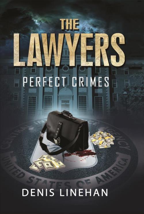 Cover of the book The Lawyers by DENIS LINEHAN, DENIS LINEHAN