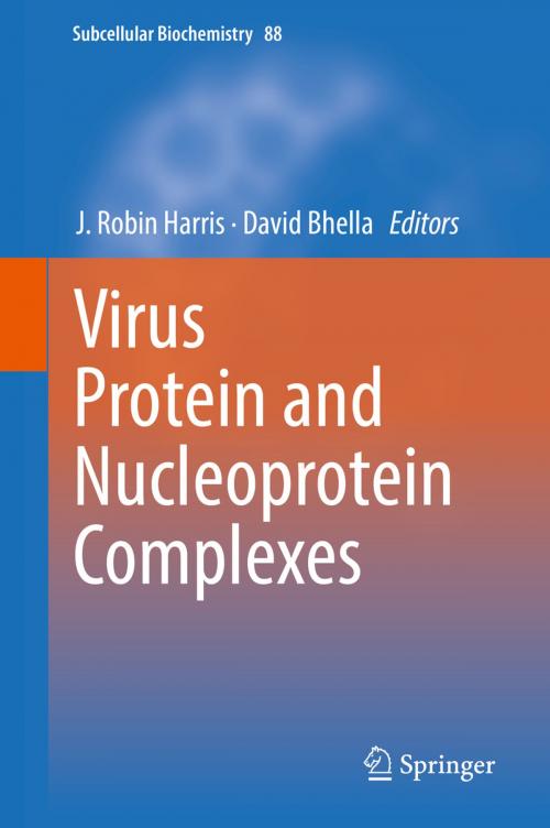 Cover of the book Virus Protein and Nucleoprotein Complexes by , Springer Singapore