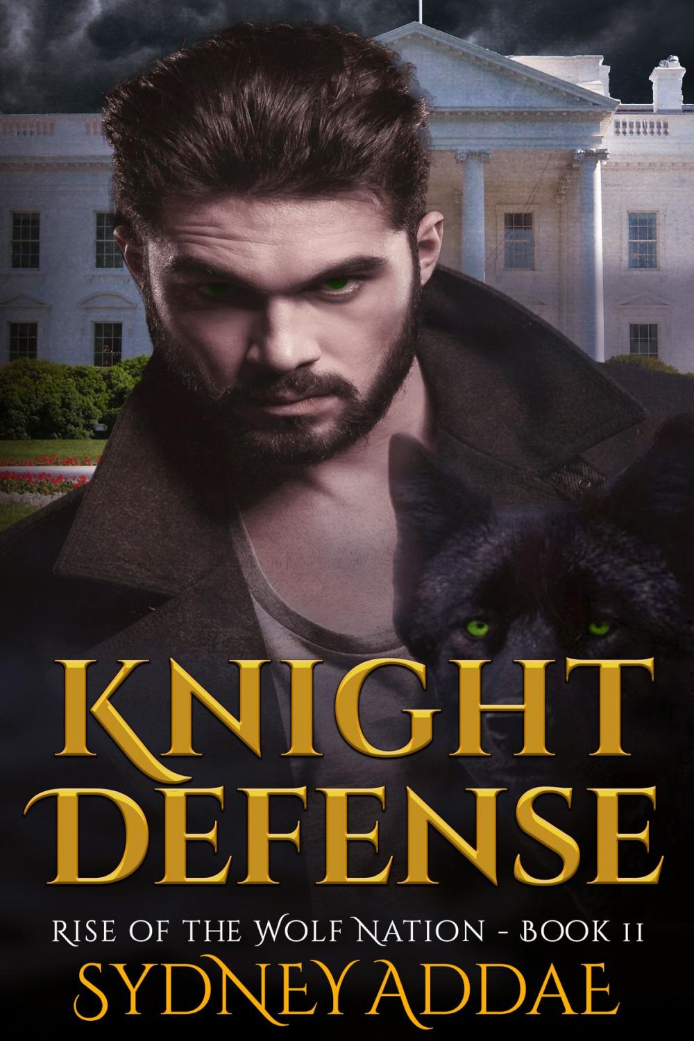 Big bigCover of Knight Defense
