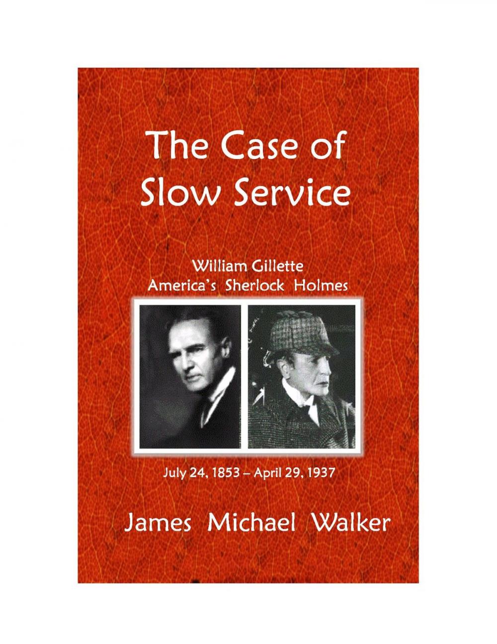 Big bigCover of The Case of Slow Service