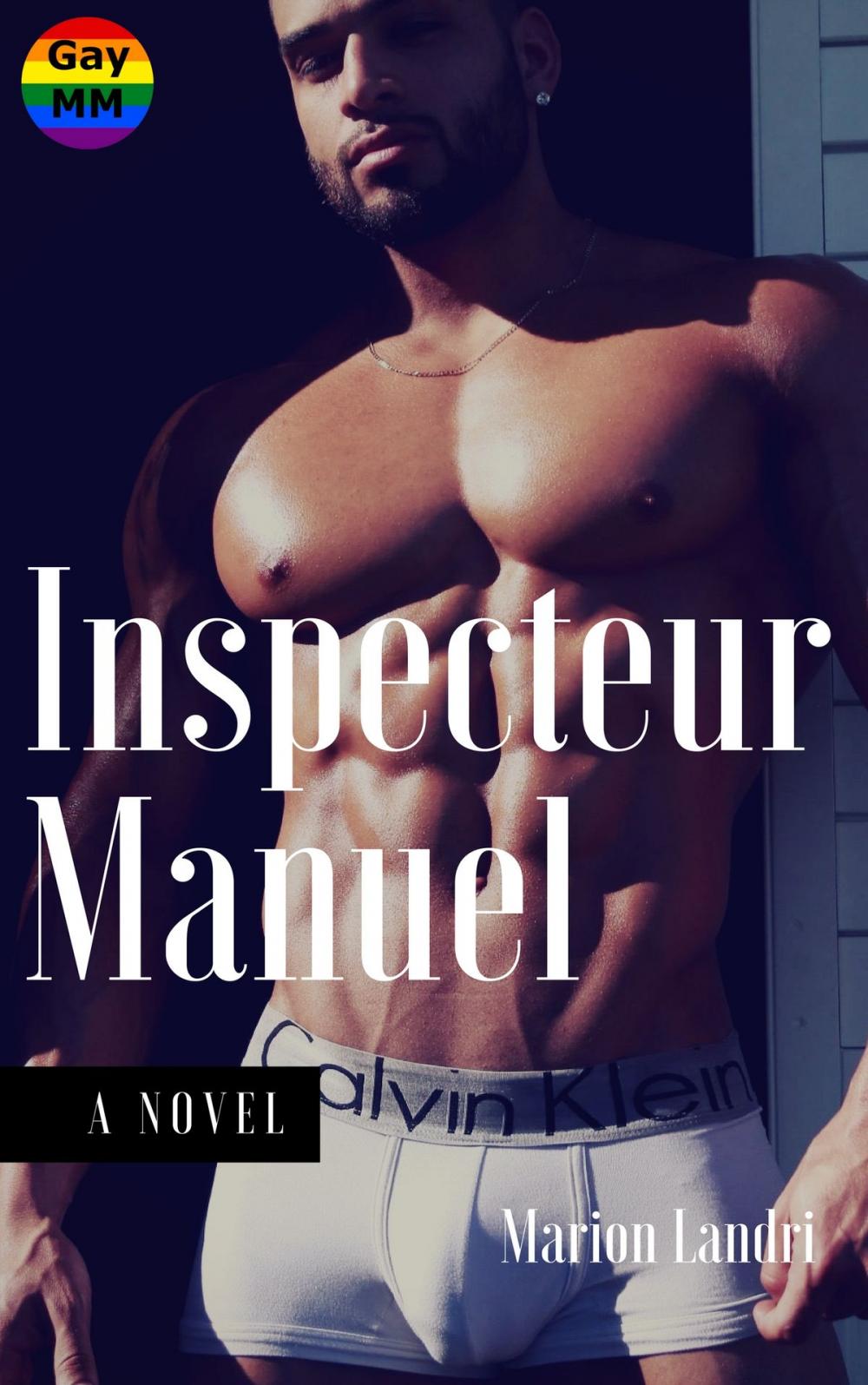 Big bigCover of Inspecteur Manuel