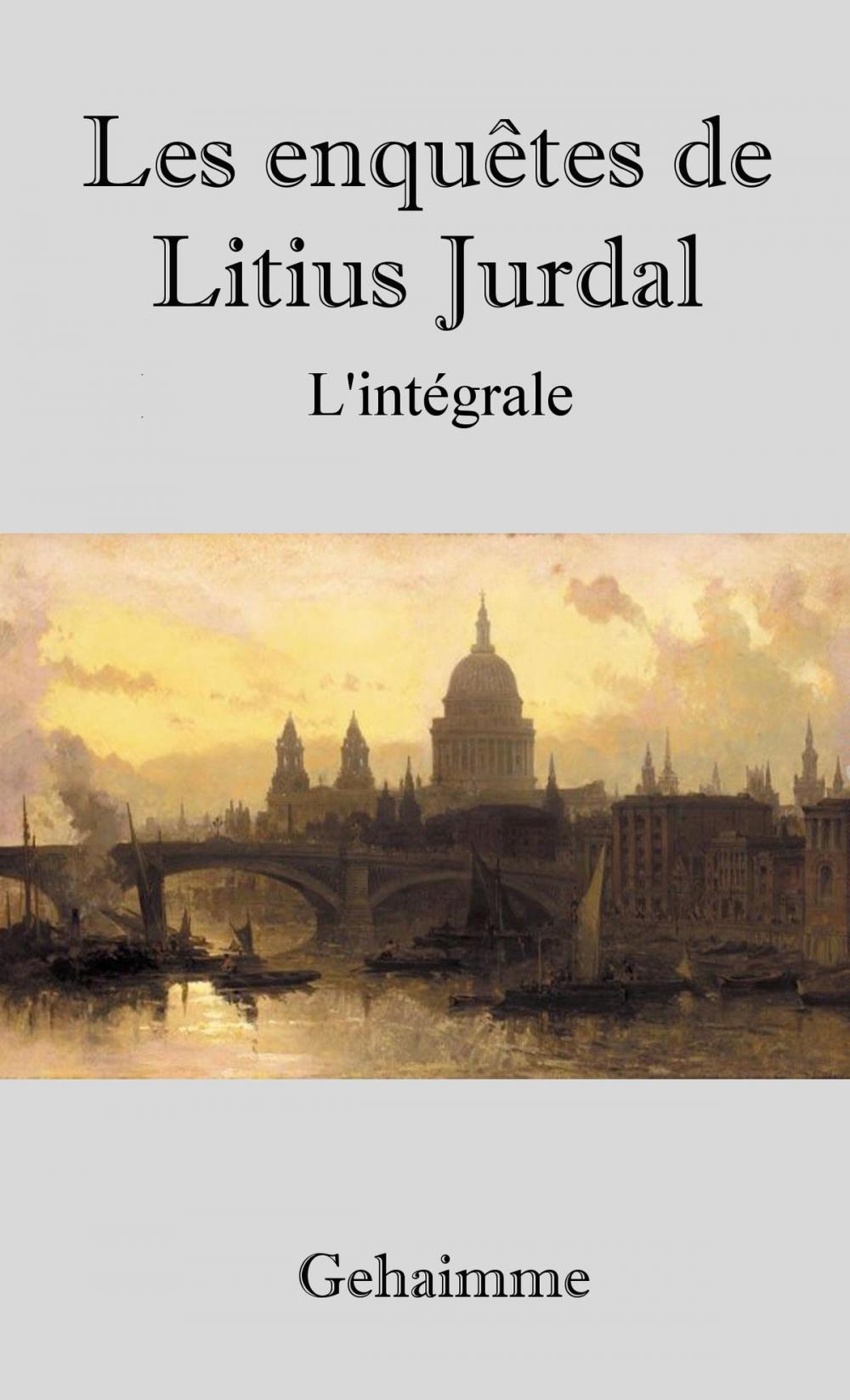 Big bigCover of Les enquêtes de Litius Jurdal