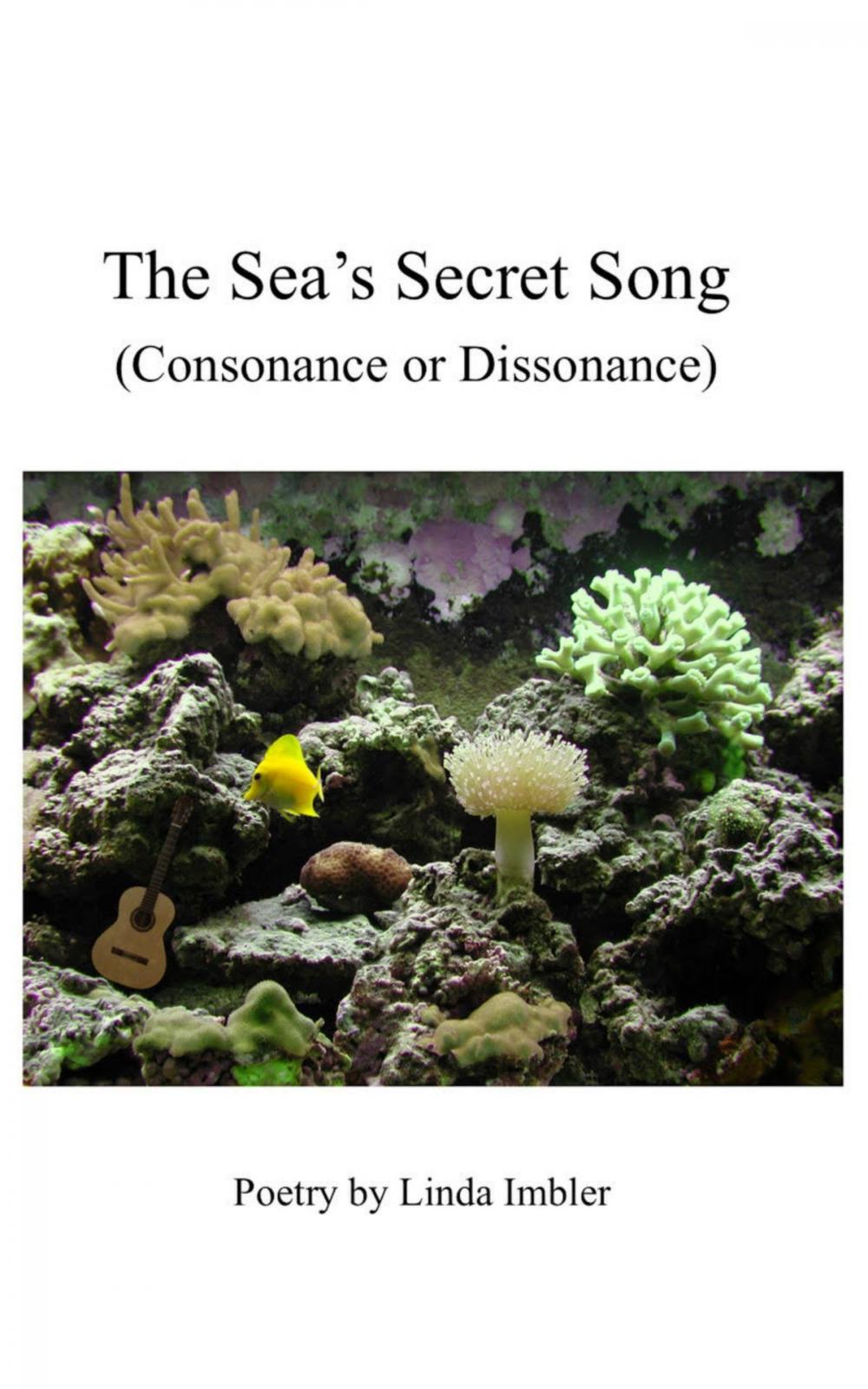 Big bigCover of The Sea’s Secret Song