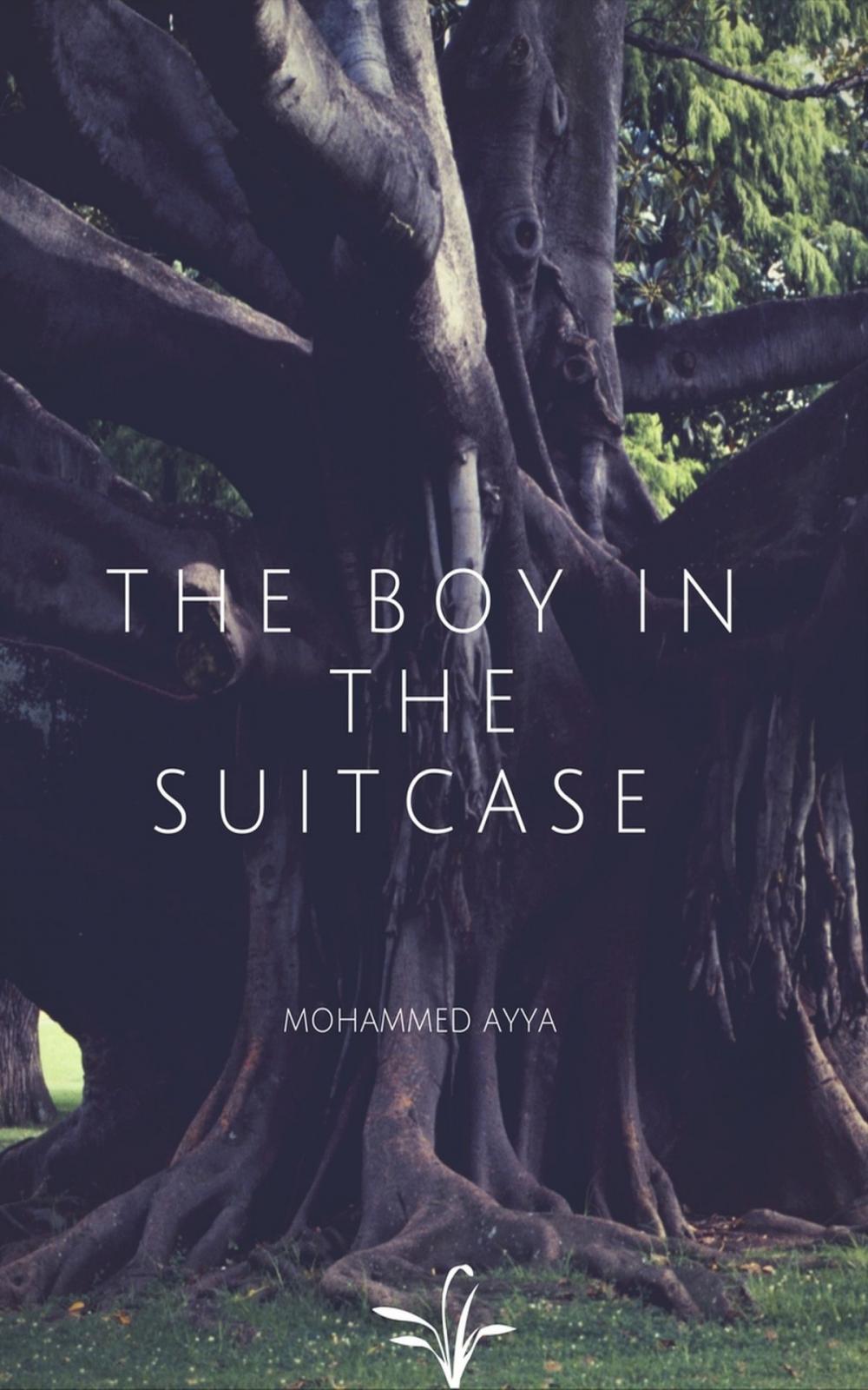 Big bigCover of The Boy In The Suitcase
