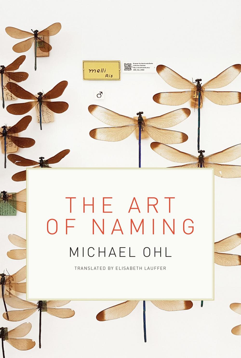 Big bigCover of The Art of Naming