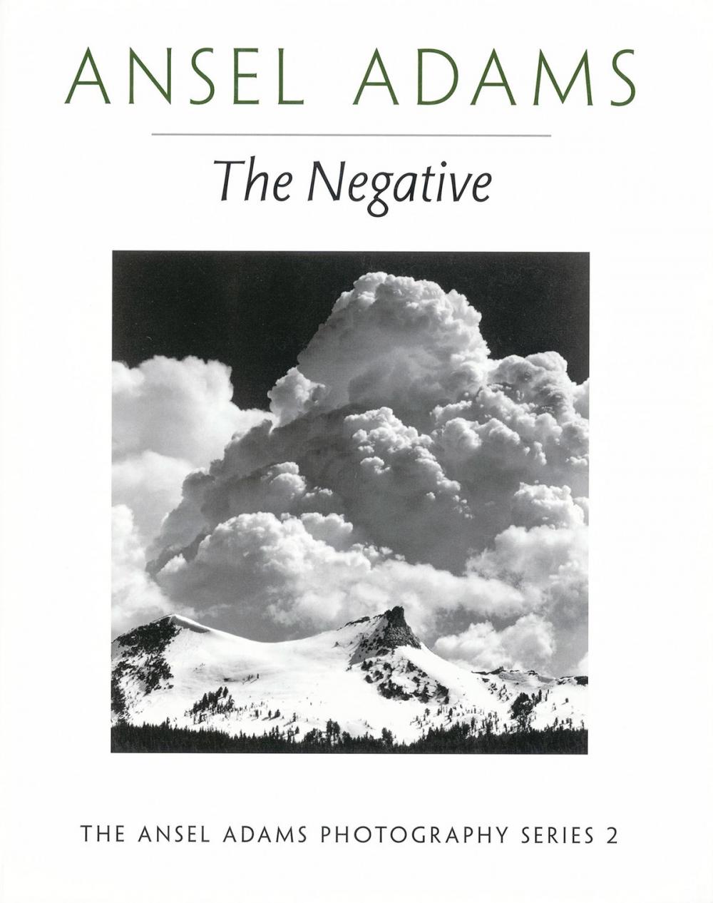 Big bigCover of The Negative