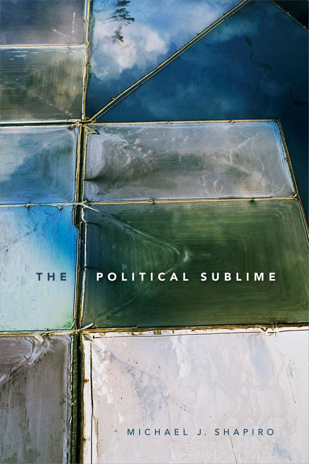 Big bigCover of The Political Sublime