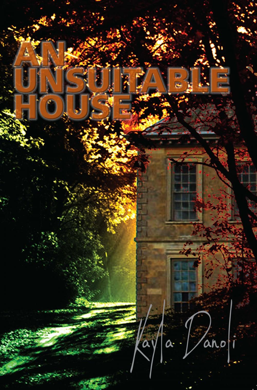 Big bigCover of An Unsuitable House