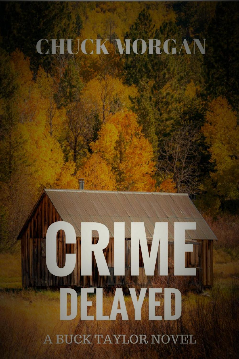 Big bigCover of Crime Delayed