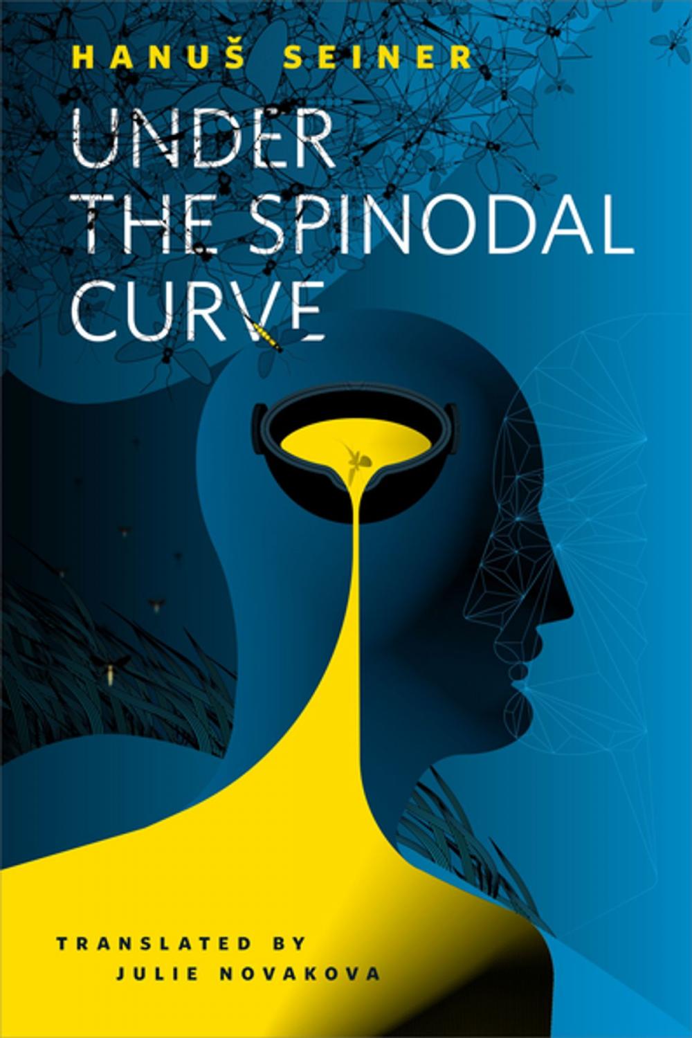 Big bigCover of Under the Spinodal Curve