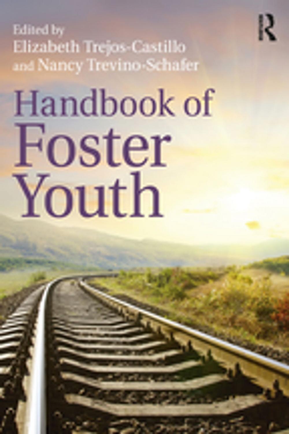 Big bigCover of Handbook of Foster Youth