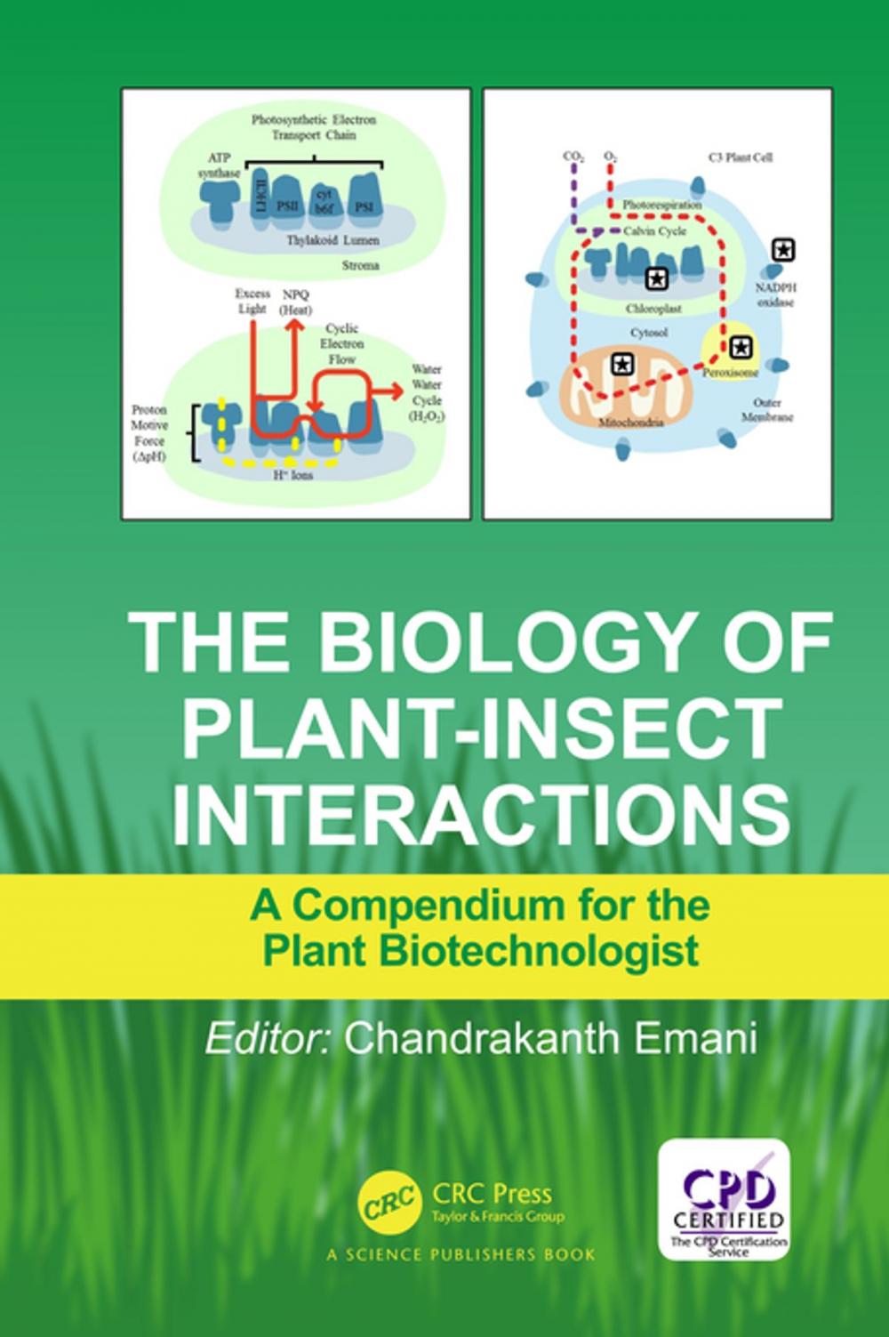 Big bigCover of The Biology of Plant-Insect Interactions