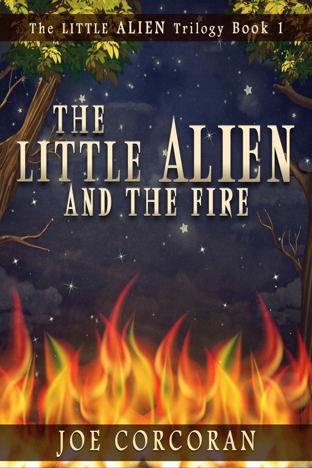Big bigCover of The Little Alien and the Fire