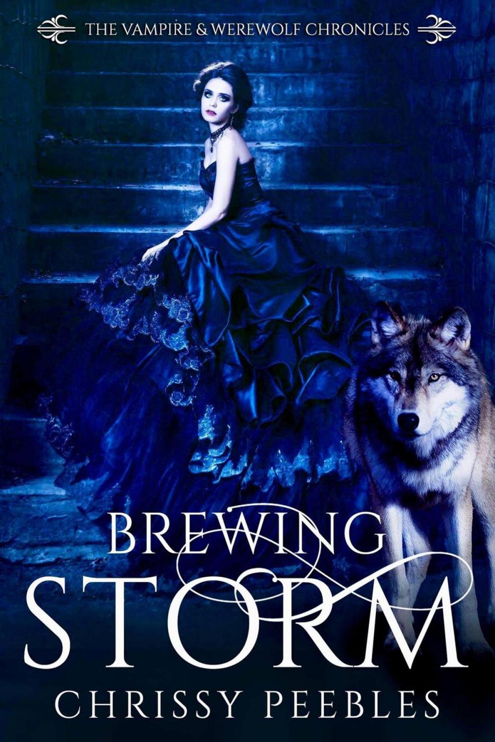 Big bigCover of Brewing Storm