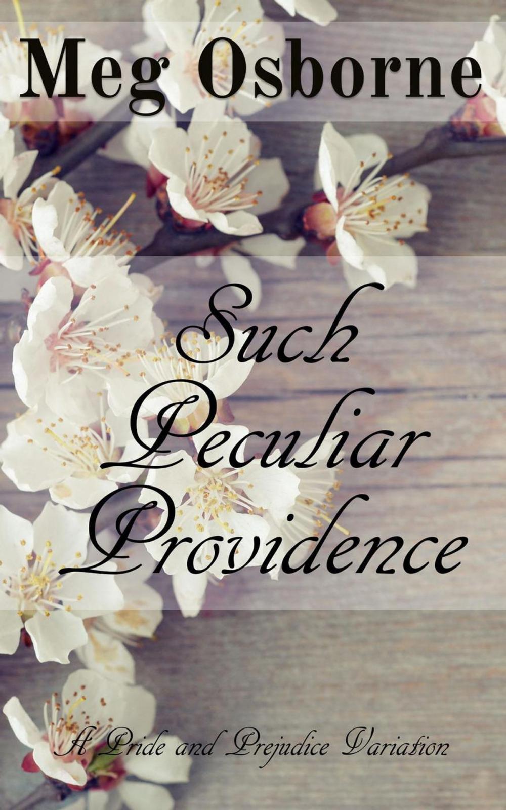 Big bigCover of Such Peculiar Providence