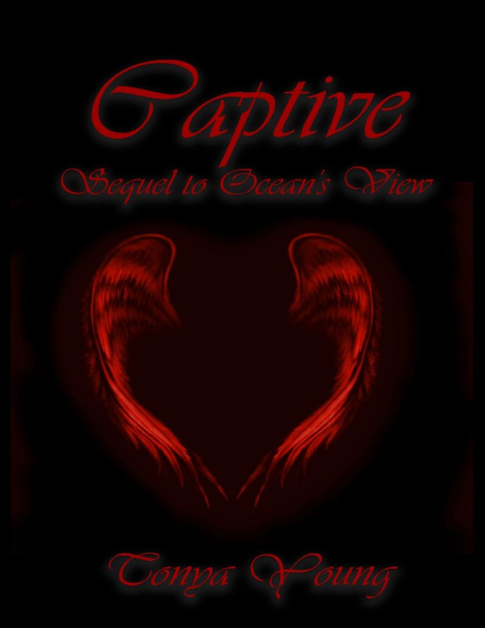 Big bigCover of Captive - Sequel to Ocean's View