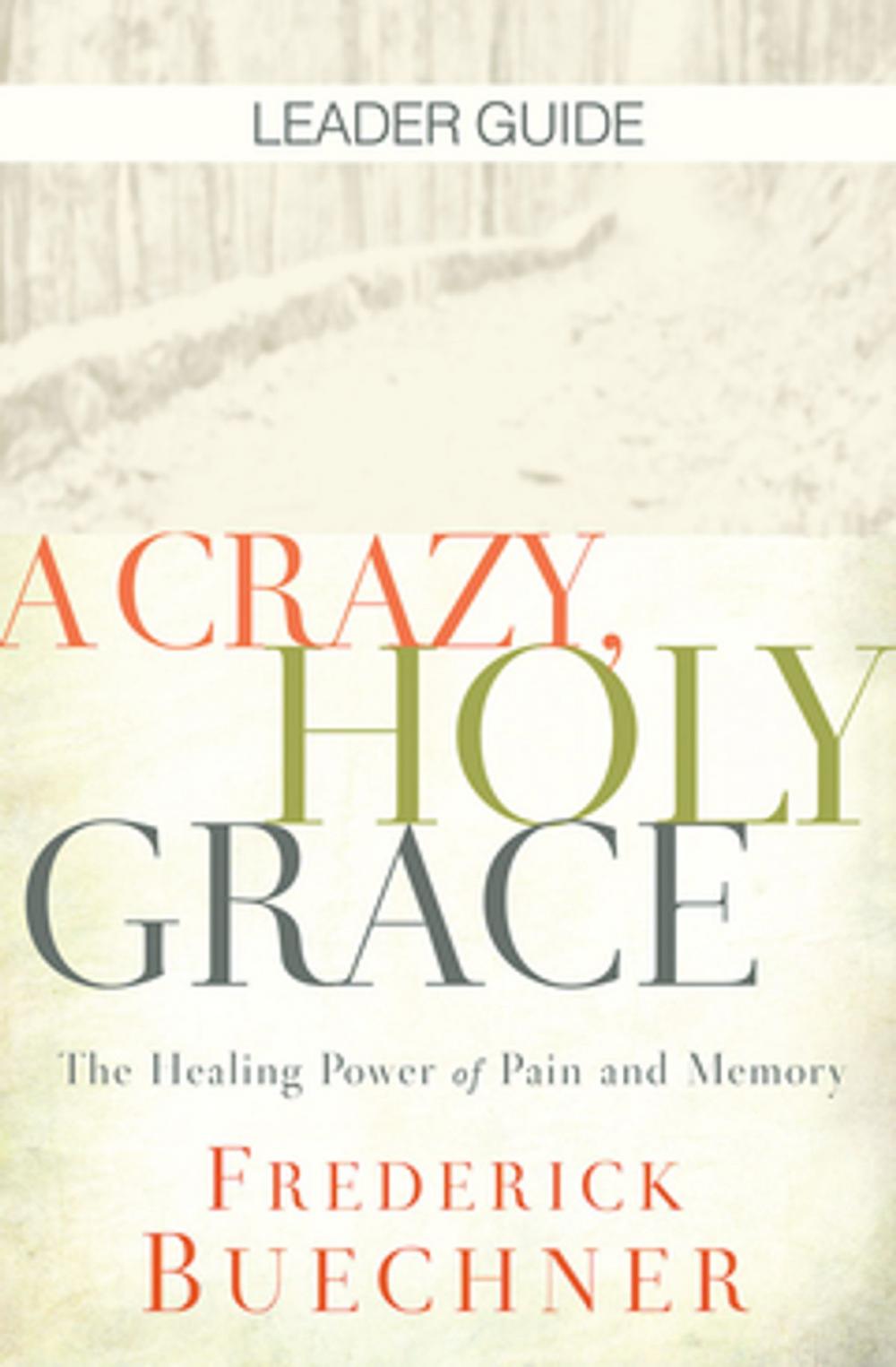 Big bigCover of A Crazy, Holy Grace Leader Guide