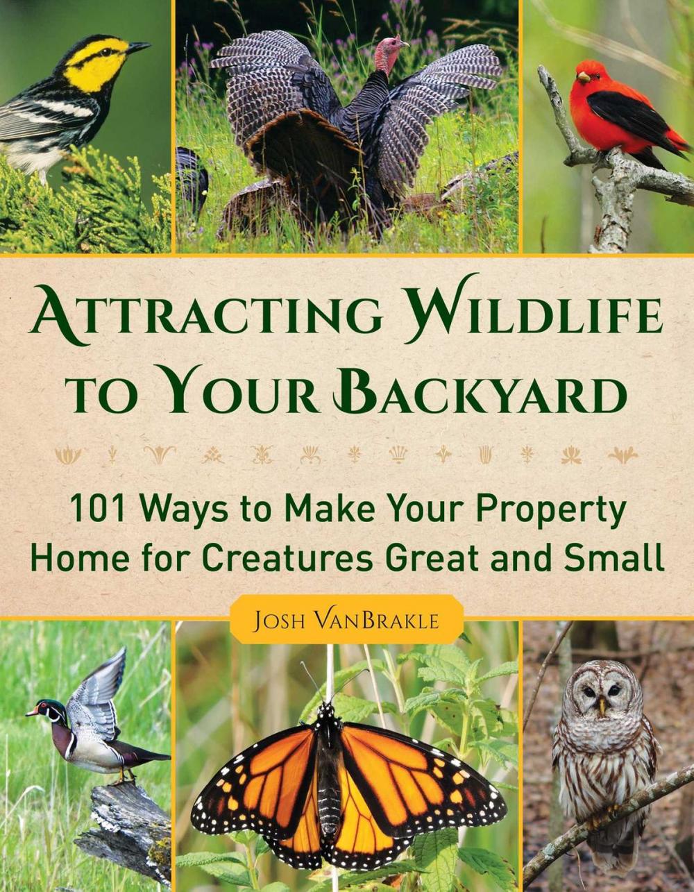 Big bigCover of Attracting Wildlife to Your Backyard