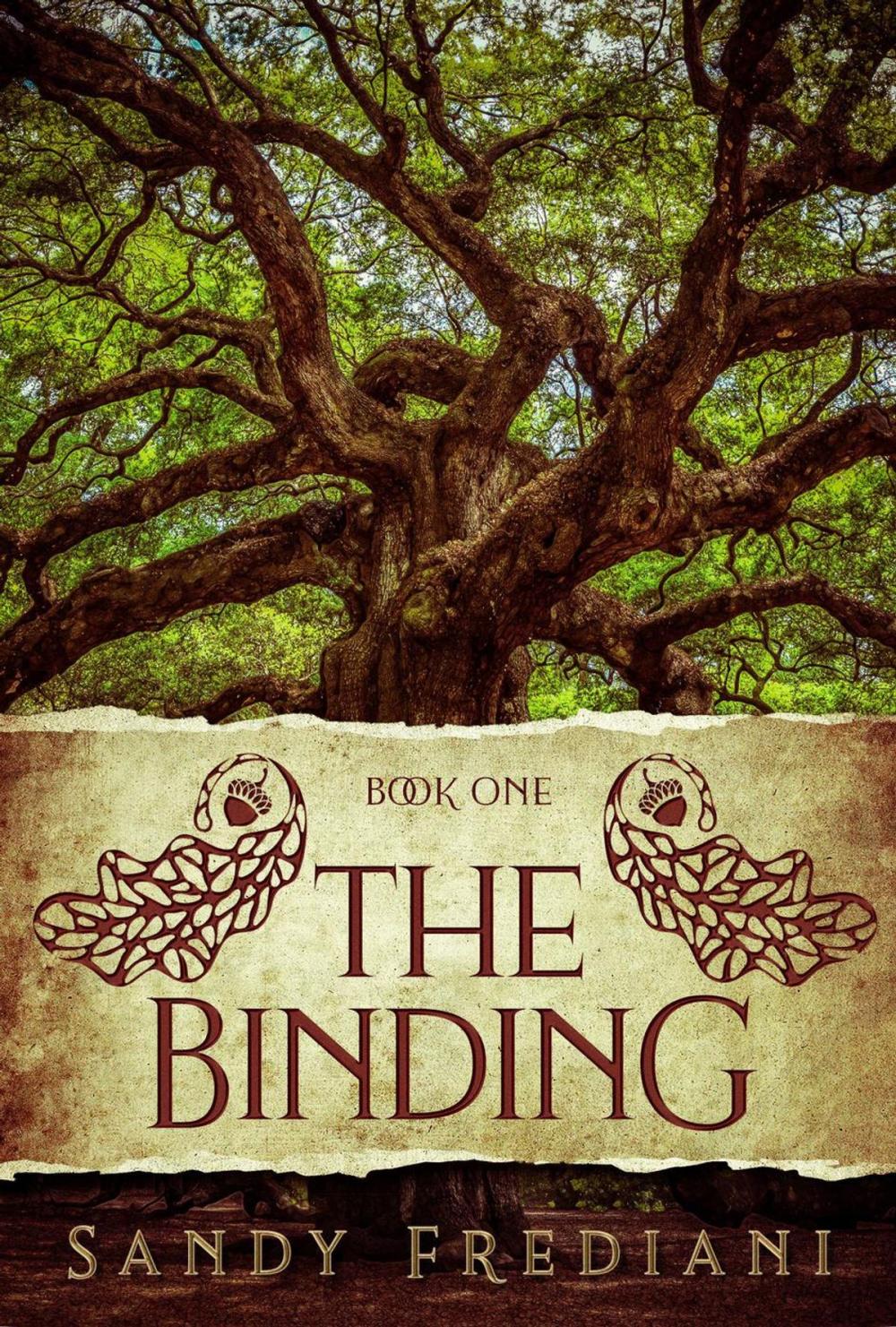 Big bigCover of The Binding
