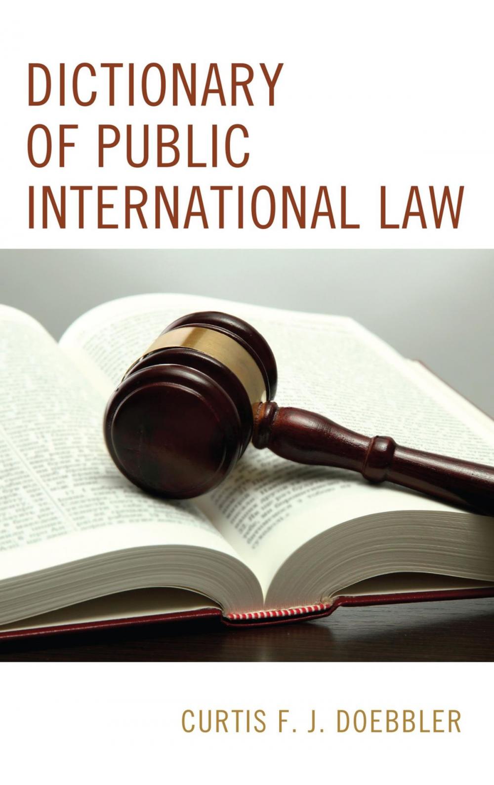 Big bigCover of Dictionary of Public International Law