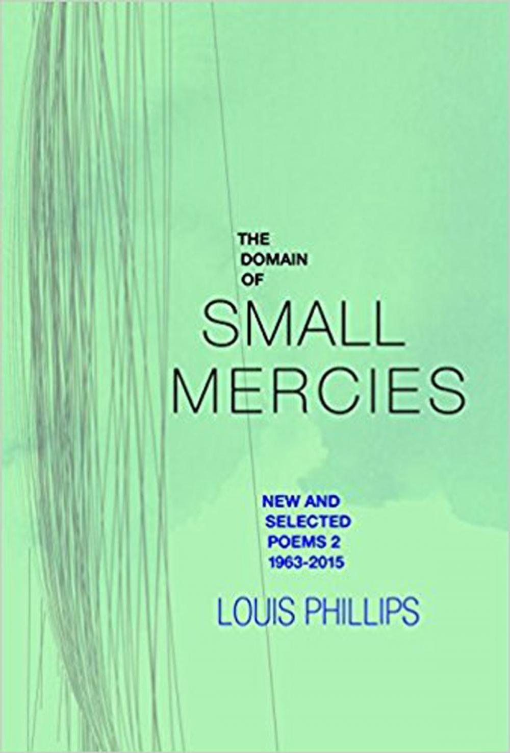 Big bigCover of The Domain of Small Mercies