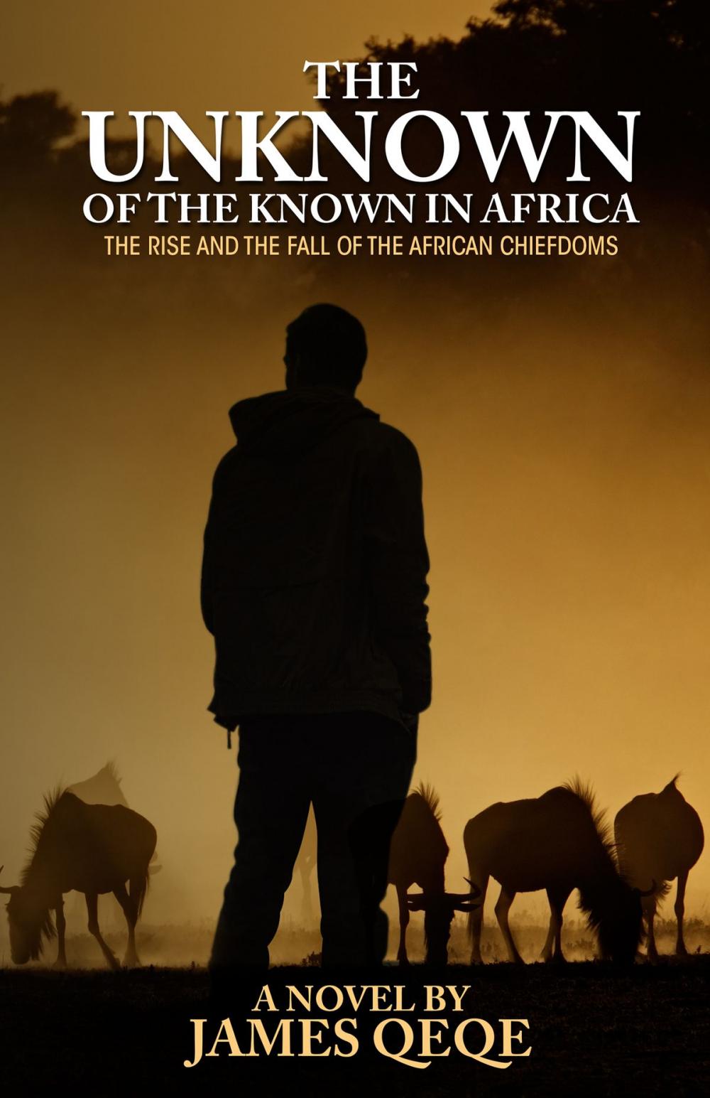 Big bigCover of The Unknown of the Known in Africa