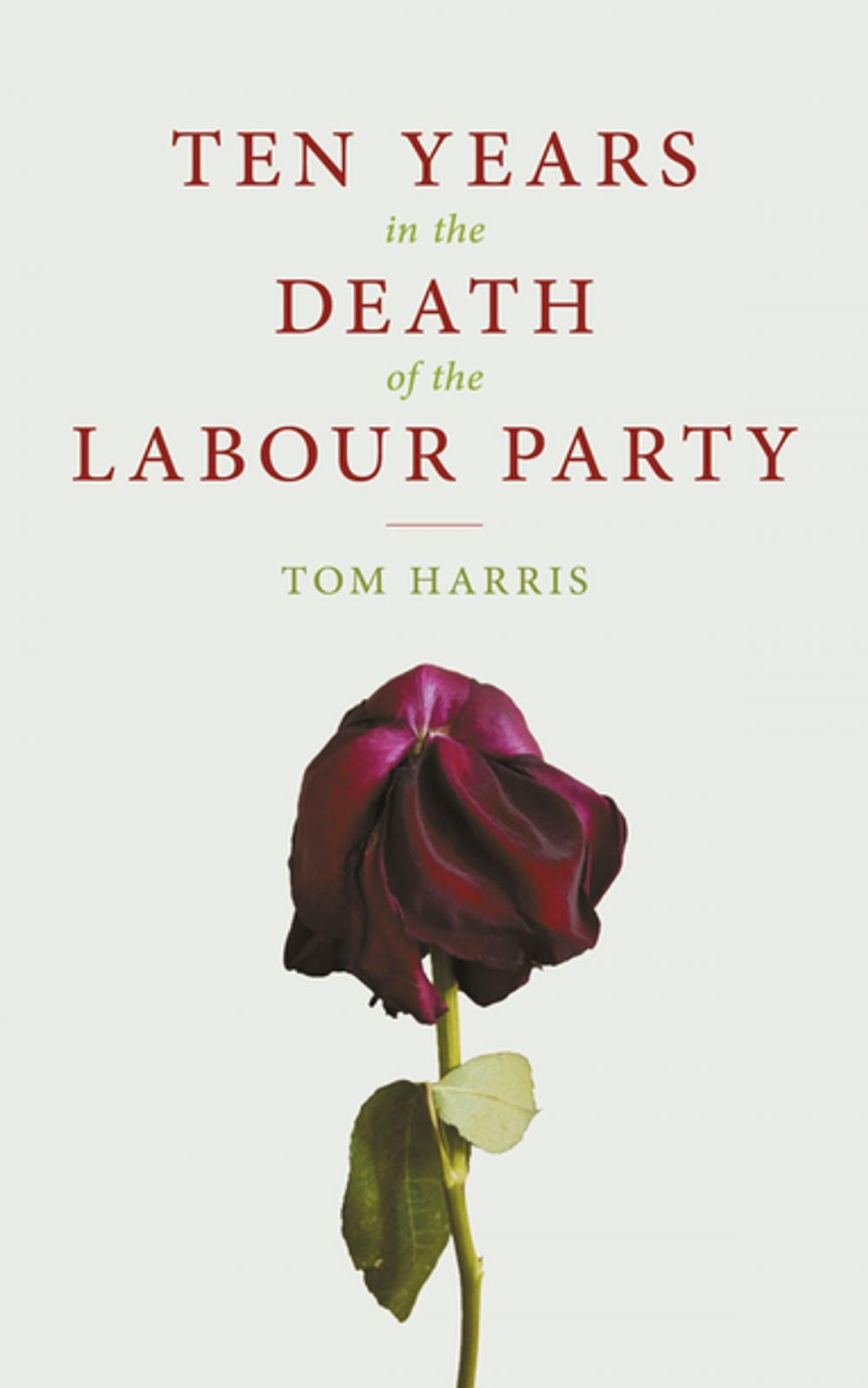 Big bigCover of Ten Years In The Death Of The Labour Party