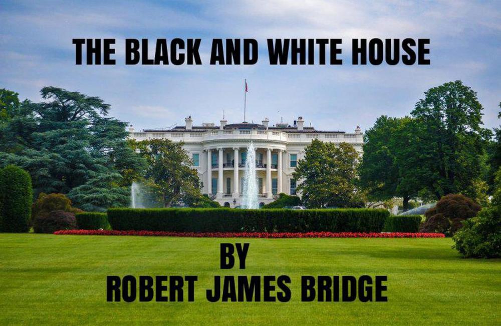 Big bigCover of The Black and White House