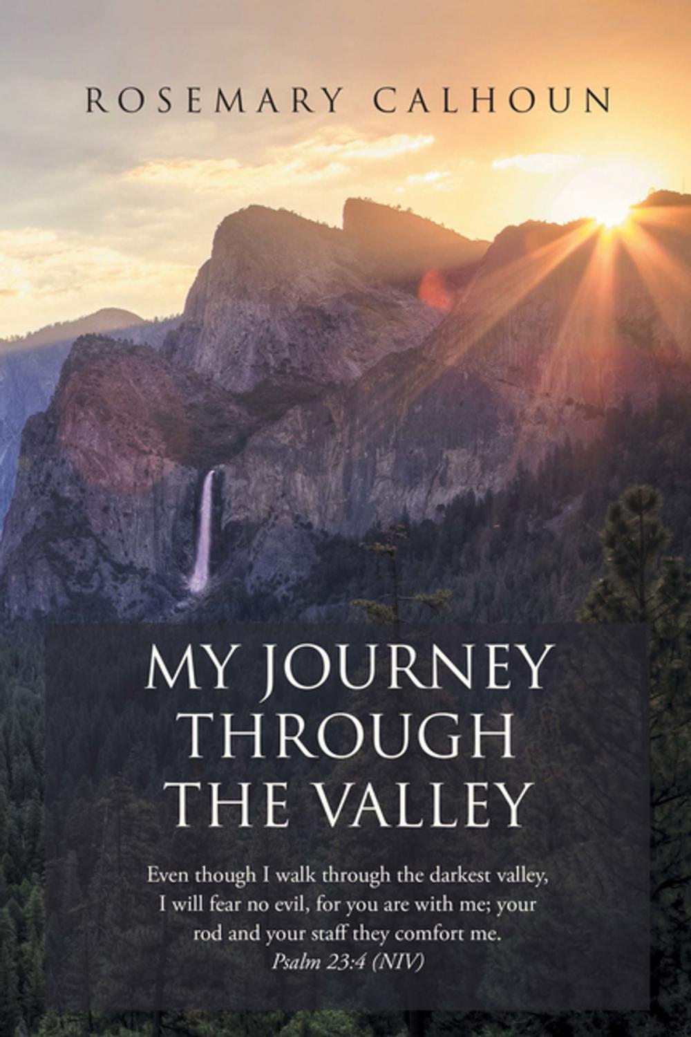 Big bigCover of My Journey Through the Valley