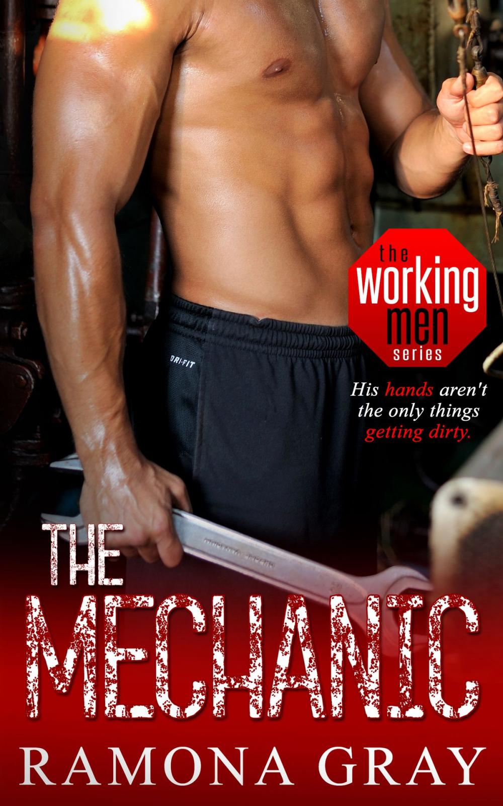 Big bigCover of The Mechanic (Book One, Working Men)