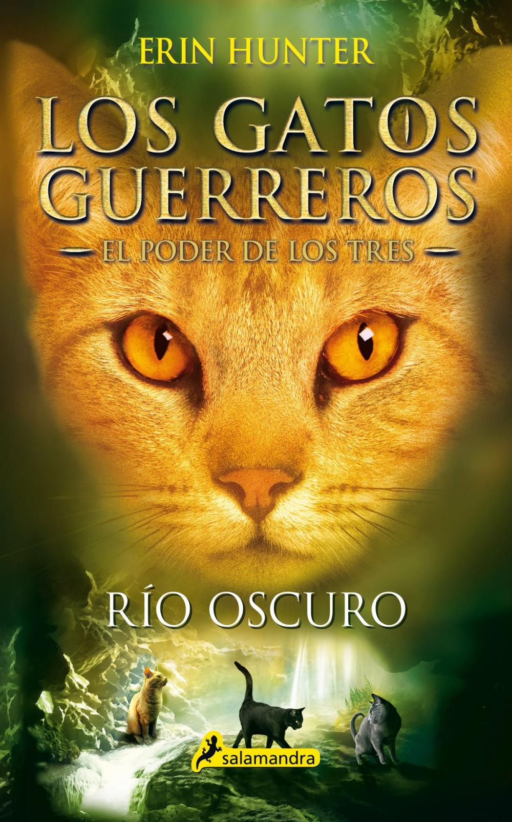 Big bigCover of Río oscuro