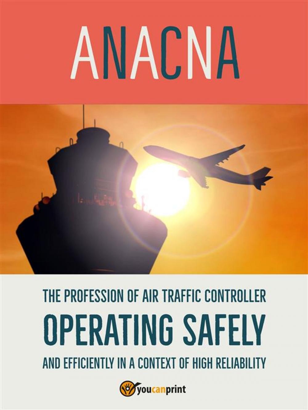 Big bigCover of The profession of air traffic controller operating safely and efficiently in a context of high reliability