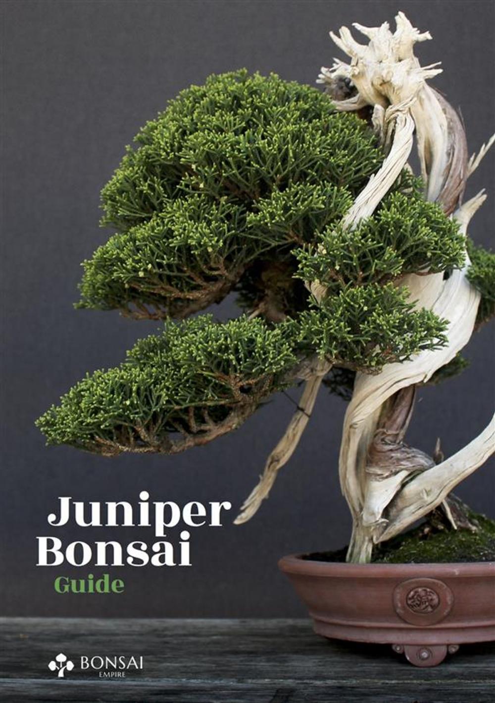 Big bigCover of Juniper Bonsai Guide