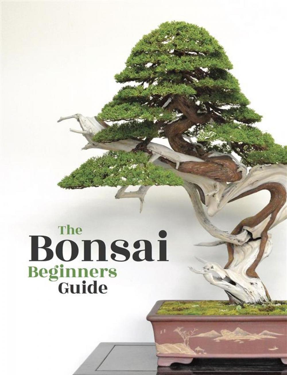 Big bigCover of Bonsai