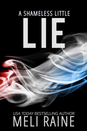 Cover of A Shameless Little Lie (Shameless #2)