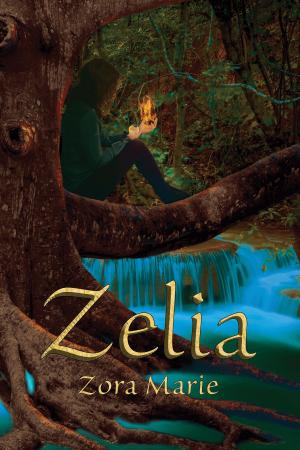 Cover of the book Zelia by L. E. Erickson