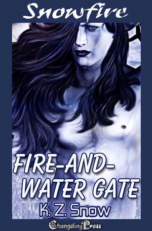 Cover of the book Fire-and-Water Gate by Cynthia Sax