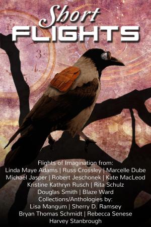 Cover of the book Short Flights (of the Imagination) by Jean Rabe, Donald J. Bingle, Russ Crossley, Leah Cutter, J.A. Marlow, Harambee K. Grey-Sun, Eugene Arffman, J. D. Brink, Brad Chambers, Michele Lang, Alexandra Brandt, Leslie Claire Walker