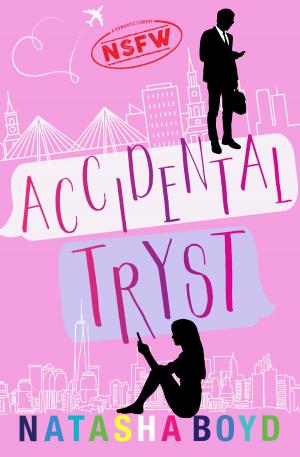 Cover of the book Accidental Tryst by Dana Burkey