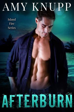 Cover of the book Afterburn by T. Renee Fike